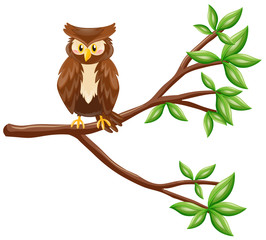 Cute owl standing on branch