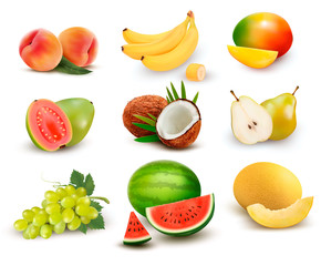 Collection of fruit and berries. Watermelon, grape, pear, banana, mango, coconut, peach, guava. Vector Set. - obrazy, fototapety, plakaty