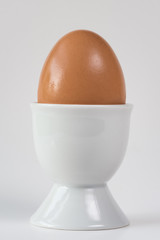 Brown Chicken Egg in q White Porcelain Egg Holder
