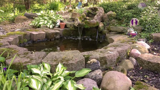 Peaceful backyard pond on sunny summer evening