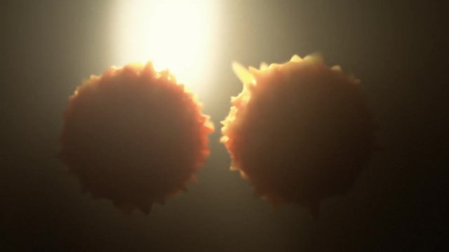 Dividing cells animation series. Long shot. Strong glow.
