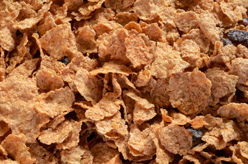 Breakfast Cereal Close Up