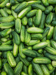 Fresh cucumbers at market
