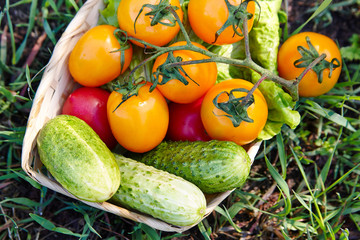 Fresh vegetables in a basket
