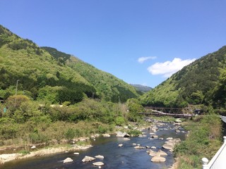 新緑の山と河川