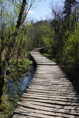Fototapeta na wymiar Curved timber walkway in Plitvice national park