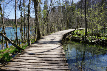 Curved timber walkway in Plitvice national park