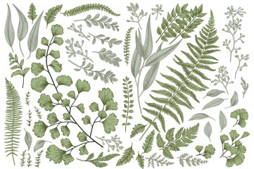 Set with leaves and ferns.