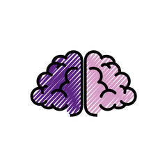 Human brain symbol icon vector illustration graphic design