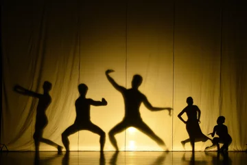 Fotobehang human shadow show © K.Decha