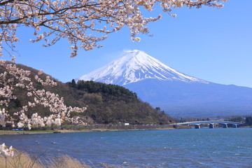 Fuji Mountain