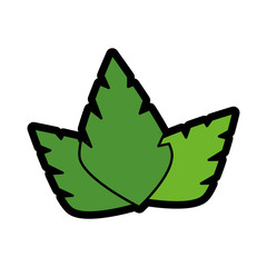 leaves icon over white background. colorful design. vector illustration