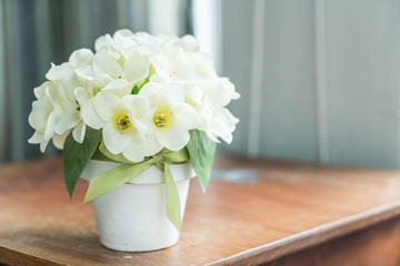 flower in vase