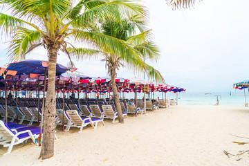 Palm with umbrella and chair on beach