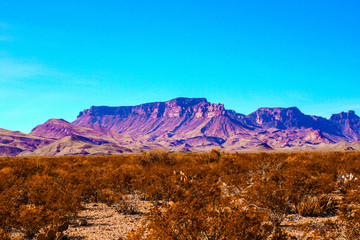 Fototapeta premium Big Bend National Park