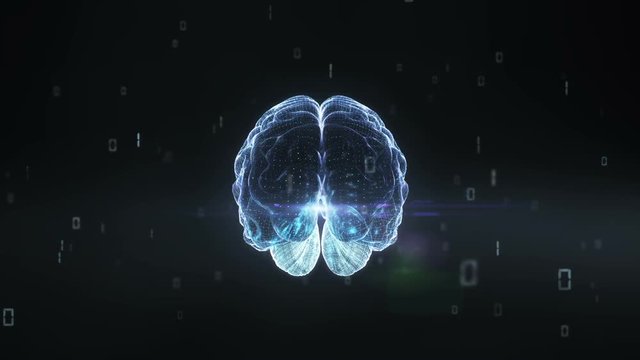 Rotating digital brain shape, artificial intelligence.
