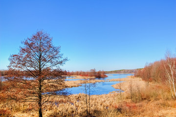 Autumn scenery of the river and forest in the background