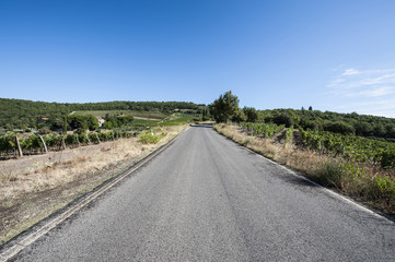  Road between Vineyards