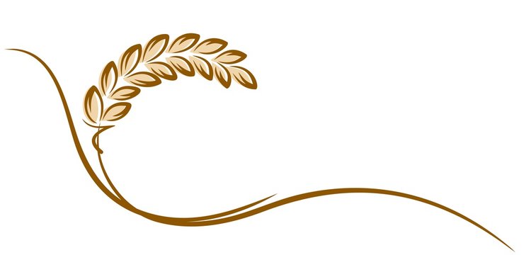 Logo of wheat. 