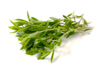 Thyme fresh herb isolated on white background