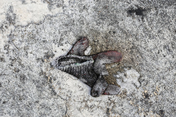 Rubble on the floor