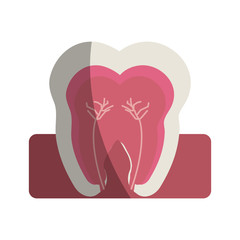 tooth interior dental care related icon image vector illustration design 