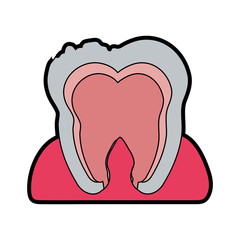 tooth interior dental care related icon image vector illustration design 