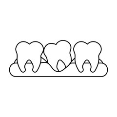 molars dental care related icon image vector illustration design 
