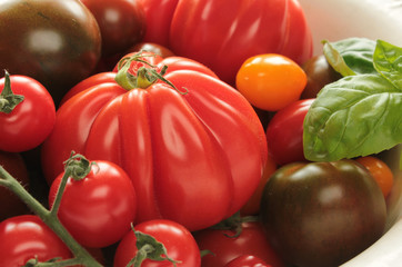 Fototapeta na wymiar verschiedene bunte Tomaten Sorten Arten Hintergrund rot gelb grün