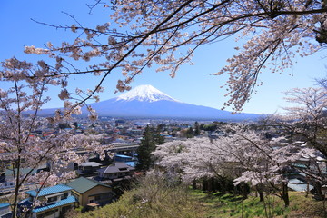Fuji Mountain