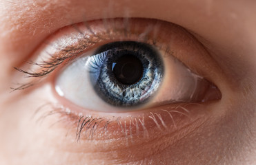 Blue iris eye. Macro shot.