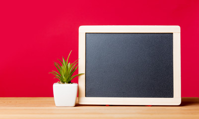 blackboard and plant