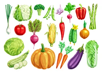 Photo sur Aluminium brossé Des légumes Ensemble d& 39 aquarelles végétales pour la conception d& 39 aliments sains