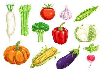 Fresh vegetable watercolor drawing set