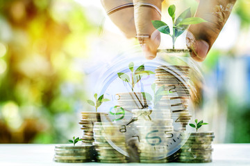 Clock and  Growing plant on coin money for finance and banking concept, Financial and business concept, business investment. hand putting the coin to coin stack
