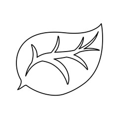 leaf nature draw vector icon illustration graphic design