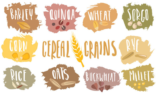 Vector set of cereal emblems with white handwritten lettering and hand-drawn stylized grains. For packing groats, advertising healthy food.