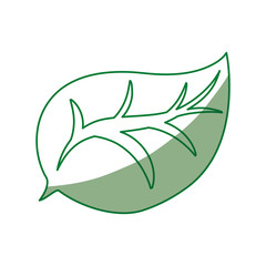 leaf nature draw vector icon illustration graphic design