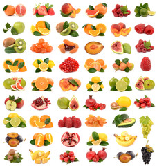collection of fruit