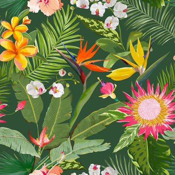Tropical Seamless Vector Floral Summer Pattern. For Wallpapers, Backgrounds, Textures, Textile, Cards.