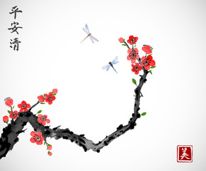Cherry sakura tree branch in blossom and two dragonflies on white background. Traditional oriental ink painting sumi-e, u-sin, go-hua. Contains hieroglyphs - peace, tranquility, clarity, beauty © elinacious