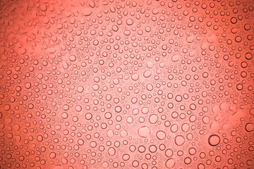 Rain droplets on red glass background, Water drops on glass.