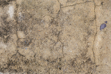 Cement floor in garden