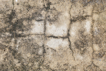 Cement floor in garden