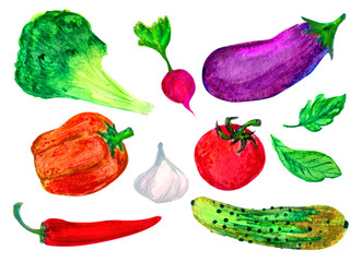 Watercolor vegetables set. Hand drawn Illustration of lettuce, radish, eggplant, pepper, onion, cucumber, tomato.