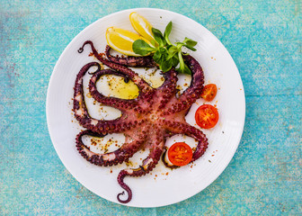 Grilled octopus on white plate. Greek dish.  © iMarzi