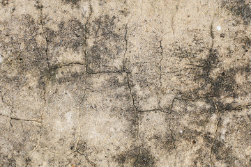 Cement floor in garden