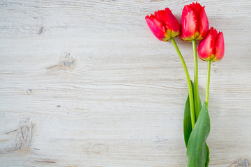 Fototapeta na wymiar red tulips on white wooden surface