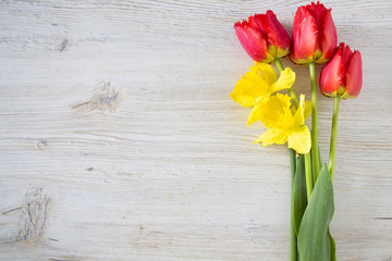 daffodils and tulips on white wooden surface