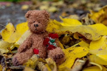 Teddy bear in fallen leaves